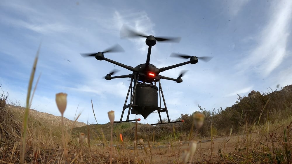 AirSeed: Drone planting takes flight to promote NSW reforestation